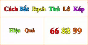Cách bắt bạch thủ lô kép