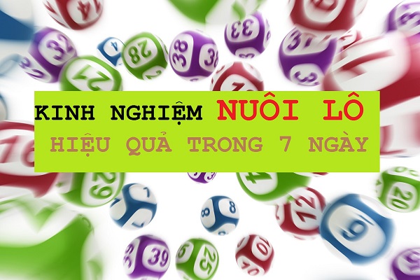 bắt lô vip khung 3 ngày Tham khảo thống kê kết quả xổ số từ các hệ thống thiết bị hiện đại của ku888.vn giúp mang lại hiệu quả cao
